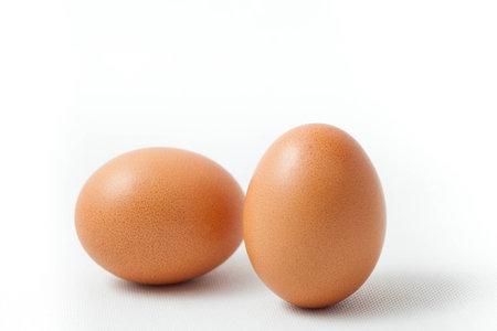 isolated eggs in white backgroundの写真素材