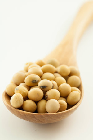 Soy beans shooting in studioの写真素材