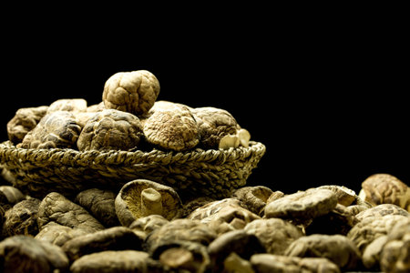 dried shitake mushroom shooting in studioの写真素材