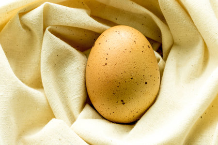Brown eggs in the basket shooting in studio