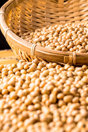 Soy beans shooting in studioの写真素材