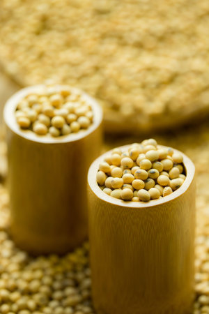 soy beans shooting in studioの写真素材