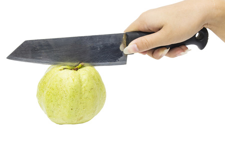 guava Thai fruit Cutting hand Isolationの写真素材