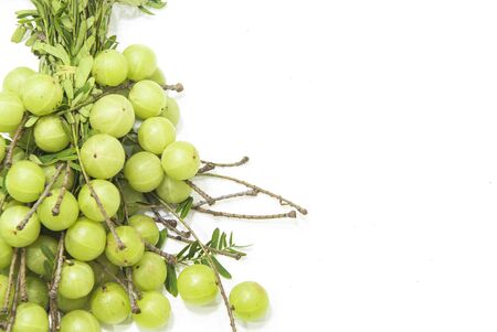 Fresh Indian Gooseberry Sour bunch put on white background isolateの写真素材