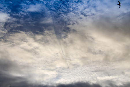 Skyの写真素材