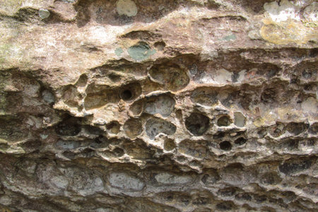 Rock at Pa Hin Ngam National Park,Thailand