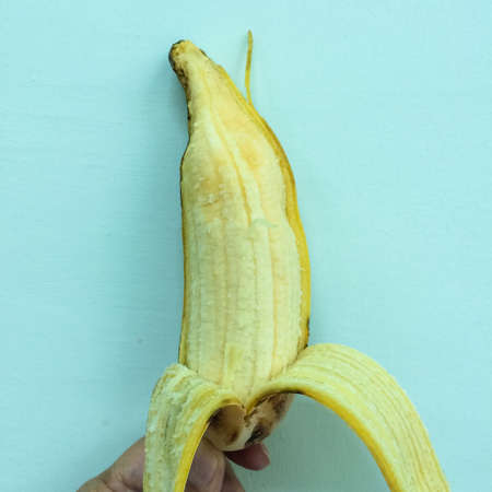 Banana of Thailand is called Hak Muk starch banana.の写真素材
