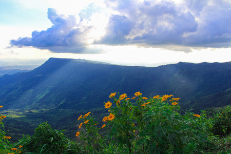 Landscape at Phu Tub Berk in Phetchabun  Province,Thailand.の写真素材