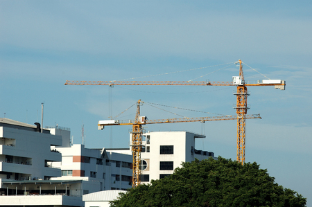  tower cranes on a blue sky backgroundの写真素材
