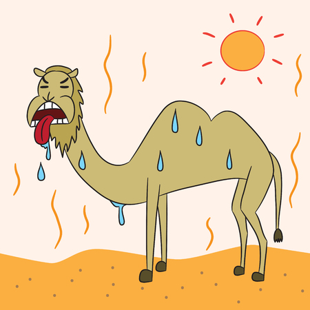 vector cartoon character camel desertのイラスト素材