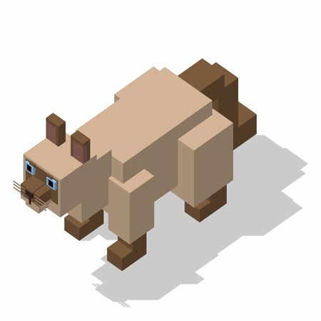 isometric rectangle design cat standingの写真素材