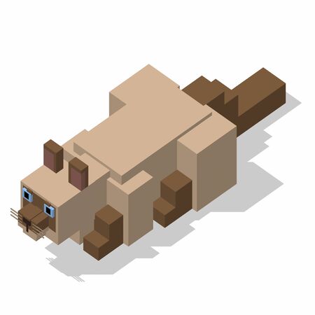 isometric rectangle design cat sleepingの写真素材