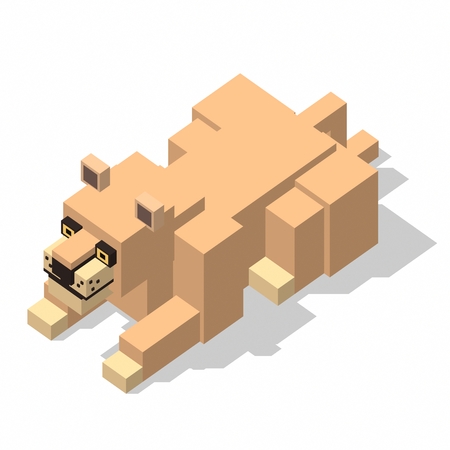 isometric rectangle design lion female sleepingの写真素材
