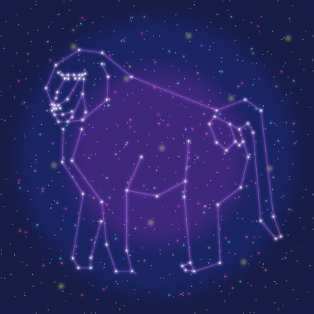 asterism design purple baboonのイラスト素材