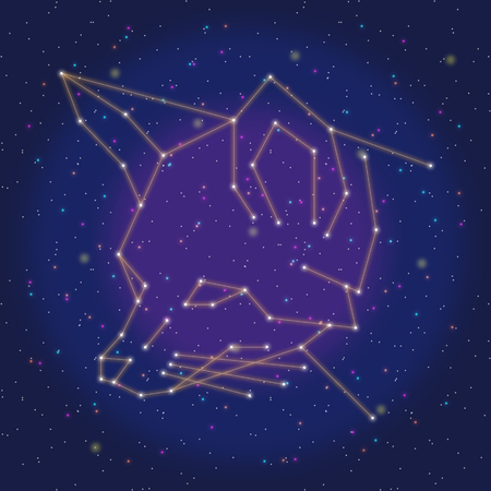 asterism design orange foxのイラスト素材