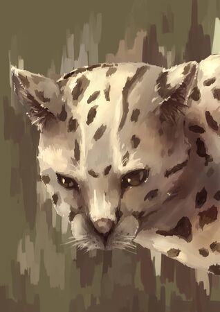 illustration digital painting animal wildcatの写真素材