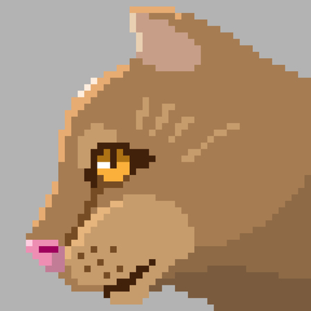 pixel art cat headの写真素材