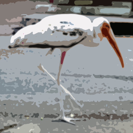 abstract bird blurの写真素材