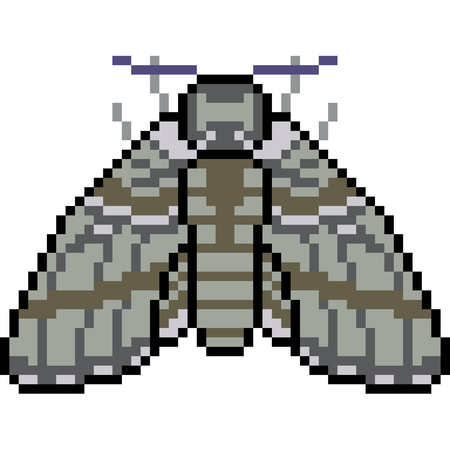 Pixel art insect mothのイラスト素材