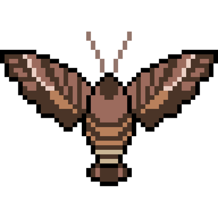 Pixel art insect mothのイラスト素材