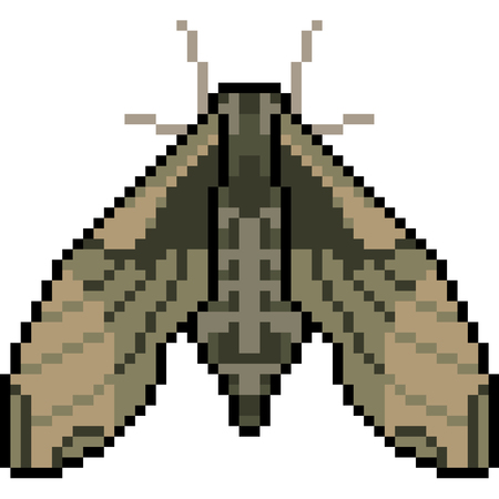 Pixel art insect mothのイラスト素材