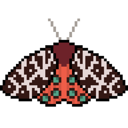 Pixel art insect mothのイラスト素材