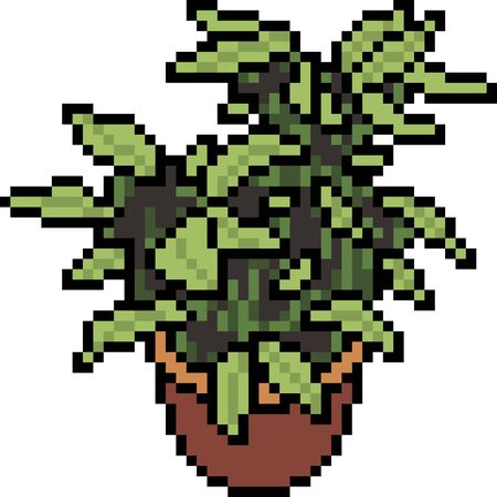 vector pixel art plant pot isolated cartoonのイラスト素材