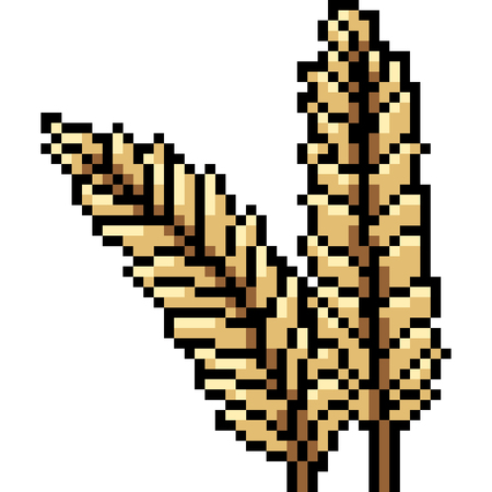 vector pixel art raw rice isolated cartoonのイラスト素材