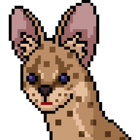vector pixel art wild cat isolated cartoonのイラスト素材