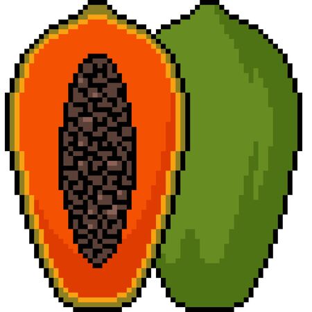vector pixel art isolated papaya cutのイラスト素材