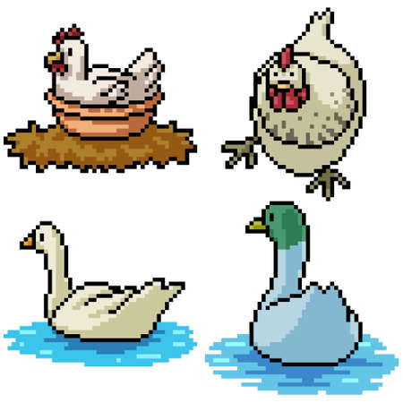 pixel art set isolated chicken duckのイラスト素材