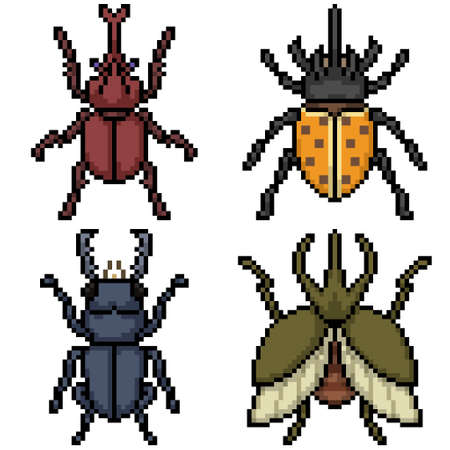 pixel art of beetle top viewのイラスト素材