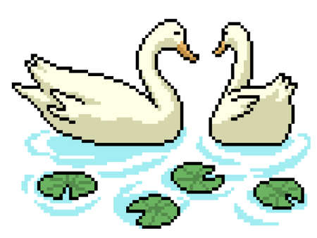 pixel art of couple swan swimmingのイラスト素材