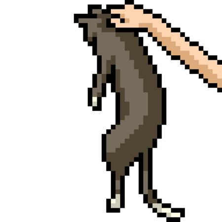 pixel art of cat pet holdのイラスト素材