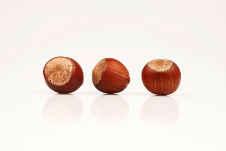 Organic and fresh three hazelnuts next to each other on white backgroundの写真素材