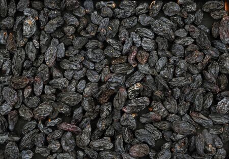 Organic big black raisins. For texture or background.の写真素材