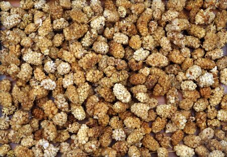 Organic dried mulberry. For texture or background.