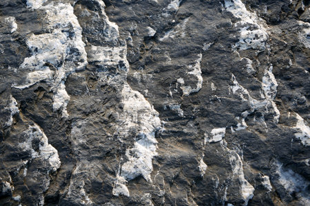 Background wallpaper texture gray concrete granite. Rockの写真素材
