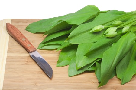 Fresh ramsons leaves on a wooden plate with a kitchen knifeの写真素材
