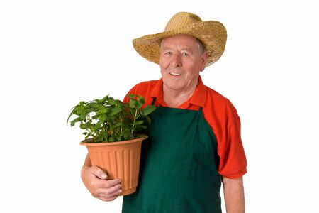 Elderly man with flower pot - isolated on whiteの写真素材