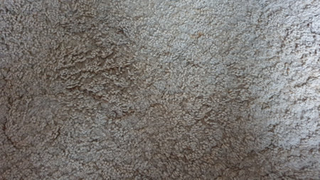 Carpet texture background. Floor surface with scratches and cracks.の写真素材