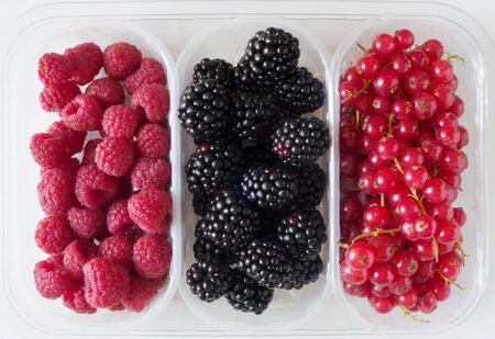 kiwi details on white backgroundの写真素材