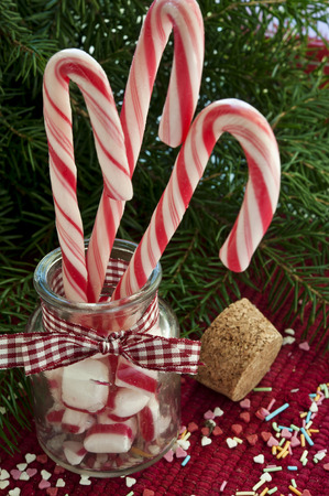 Bunch of red and white striped candy canes in glass jar on christmas background  Close upの写真素材