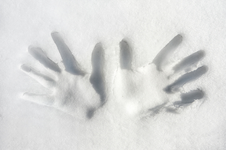 Print of both palms hands on snow surface  の写真素材