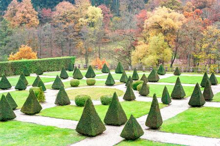 Triangle shaped topiary green trees in old ornamental garden of Burresheim Castle in autumn, Germany. Outdoors horizontal imageの写真素材