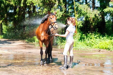 Young teenage girl equestrian washing her chestnut horse in shower. Vibrant multicolored summertime outdoors horizontal image.の写真素材