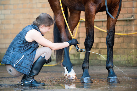 Young teenage lady washing horse hoof by stream of water from a hose. Vibrant multicolored summertime outdoors horizontal image.の写真素材