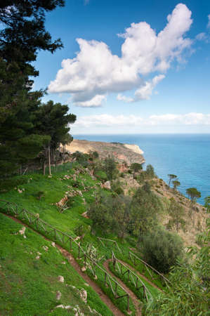 Spectacular view of italian pine woodland mountain and sea with cloudy blue sky. Colored summertime outdoor vertical image.の写真素材