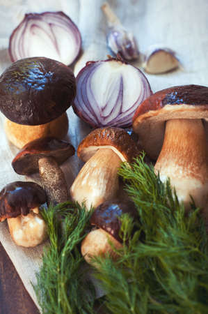 Crop of fresh delicious porcini mushrooms on wooden background ready for cooking. Boletus Edulis (var. Aereus). Multicolored indoors vertical closeup image with filterの写真素材