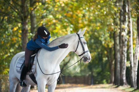 Equestrian lady riding horseback and stroking white horse neck. Vibrant colored outdoors horizontal autumntime image with filterの写真素材